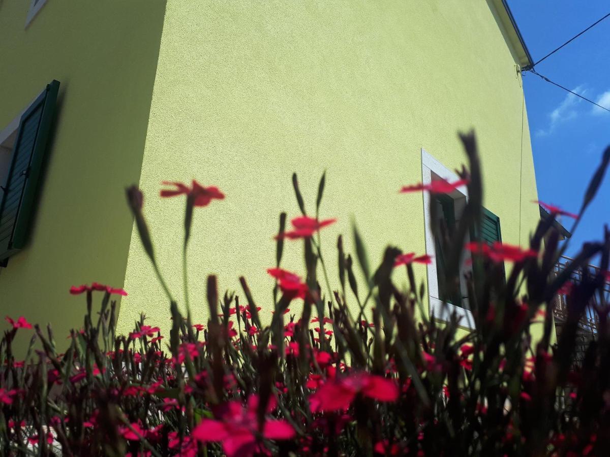 Apartment Terra Rossa Kaštelir Eksteriør bilde